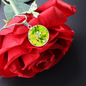 round template - golden daisiesGreen Golden Daisies : Round Charm, Gold or Silver Plated, with strong chain necklace - In luxury packaging - Free standard shipping