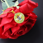 Health Angel : Round Charm, Gold or Silver Plated, with strong chain necklace - In luxury packaging - Free standard shipping