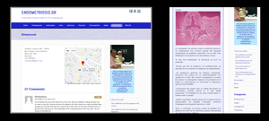 Web Site - Blog (Wordpress/Wix)