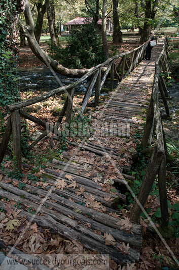 Bridges in woods, Parks and Gardens 212017-100-3