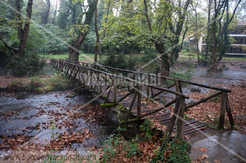 bridges in woods, Parks and Gardens 212017-111-15