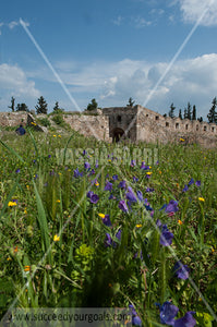 Greek Monuments - Ancient Temple - 212017-254-173