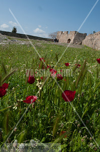 Greek Monuments - Ancient Temple - 212017-257-176