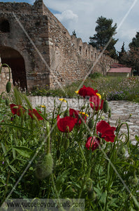 Greek Monuments - Ancient Temple - 212017-260-180