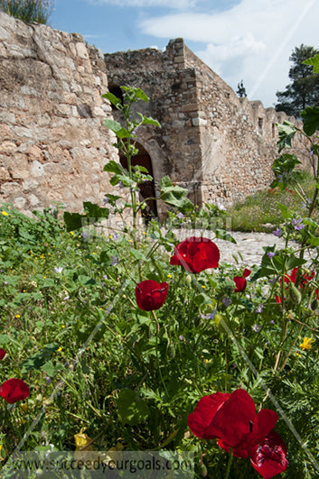 Greek Monuments - Ancient Temple - 212017-262-182