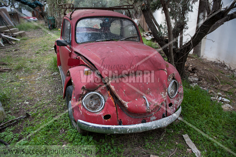 Cars destroyed - abandoned – derelict - 212017-28-201