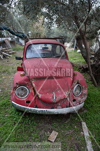 Cars destroyed - abandoned – derelict - 212017-29-212