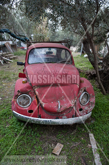 Cars destroyed - abandoned – derelict - 212017-29-212
