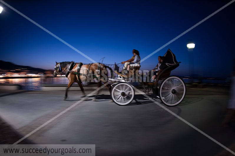 horse carriage - 212017-51-457