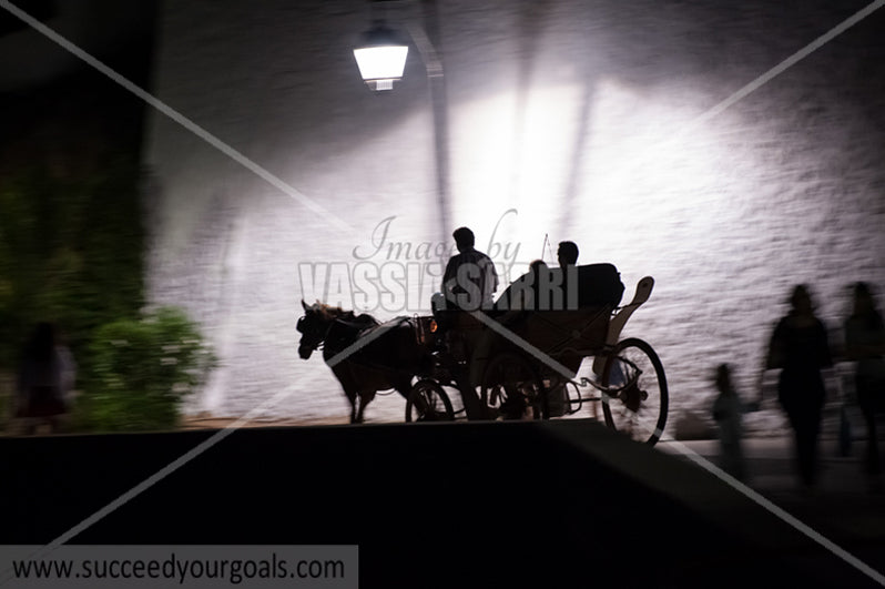 horse carriage - 212017-52-468