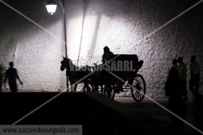 horse carriage - 212017-53-479