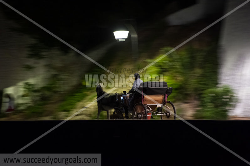 horse carriage - 212017-54-490