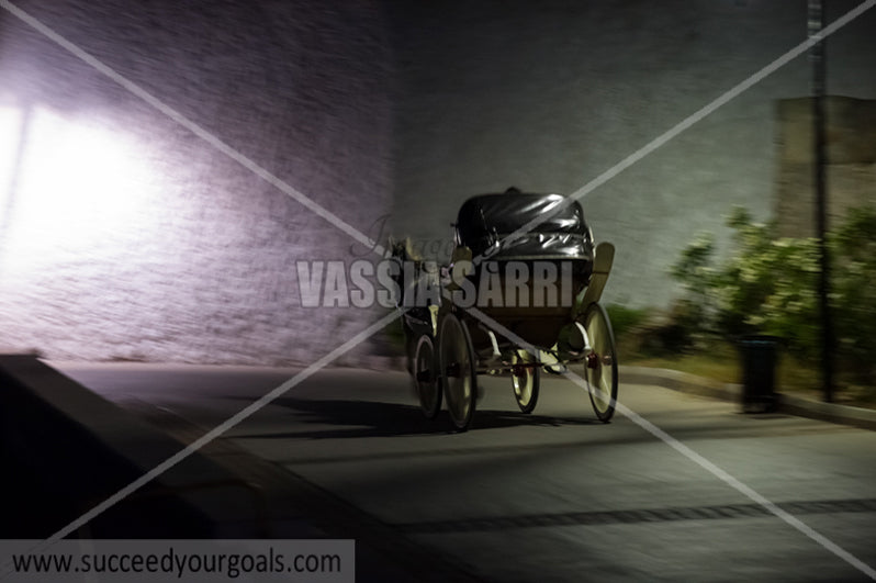 horse carriage - 212017-55-501