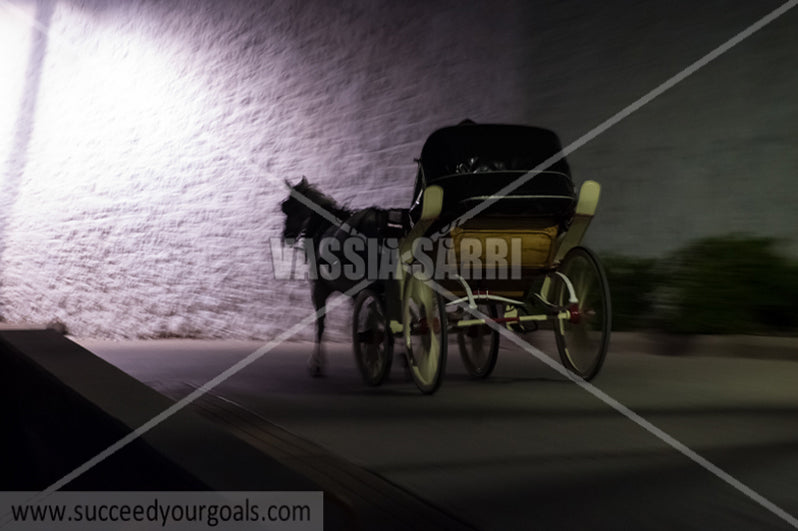 horse carriage - 212017-56-512