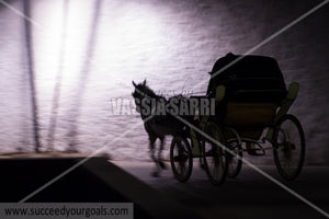 horse carriage - 212017-57-523