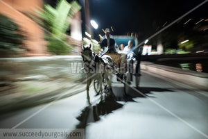 horse carriage - 212017-59-545