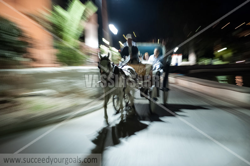 horse carriage - 212017-59-545