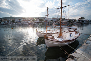 Fish boat 212017-6-556