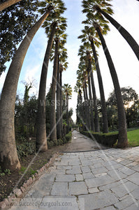 Park and Garden 312017-147-144