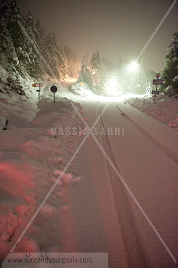 forest in the snow and street night 312017-162-159