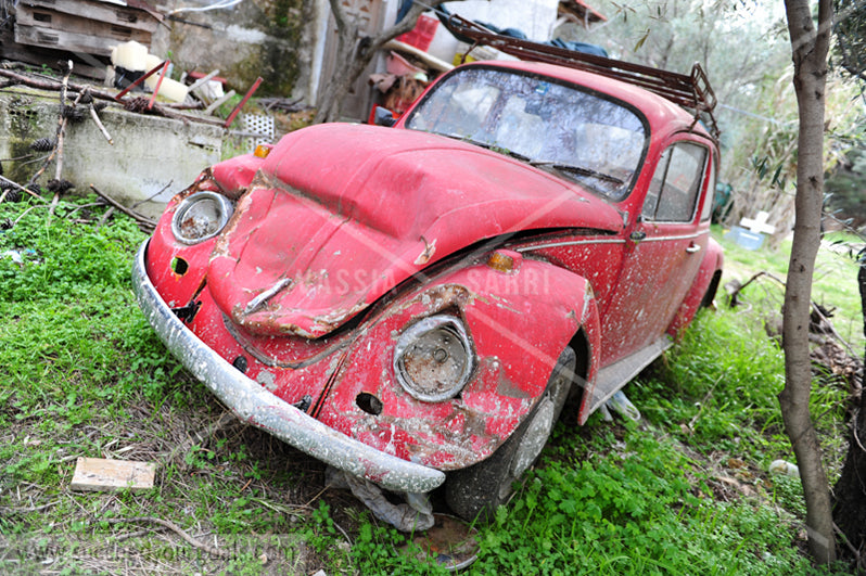 Cars destroyed - abandoned – derelict - 312017-167-164