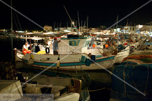 Fish boat 312017-267-264