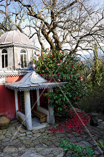 Mount Athos, Holly Mountain, Greece, Orthodox christian Church, Eastern Christian - 312017-363-360