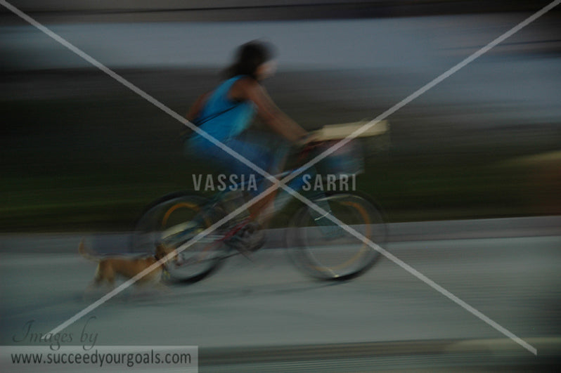 Bicycle 312017-69-67