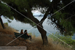 bench and tree - Sea coast - Landscape Nature 312017-72-70