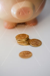 piggy bank and gold coins